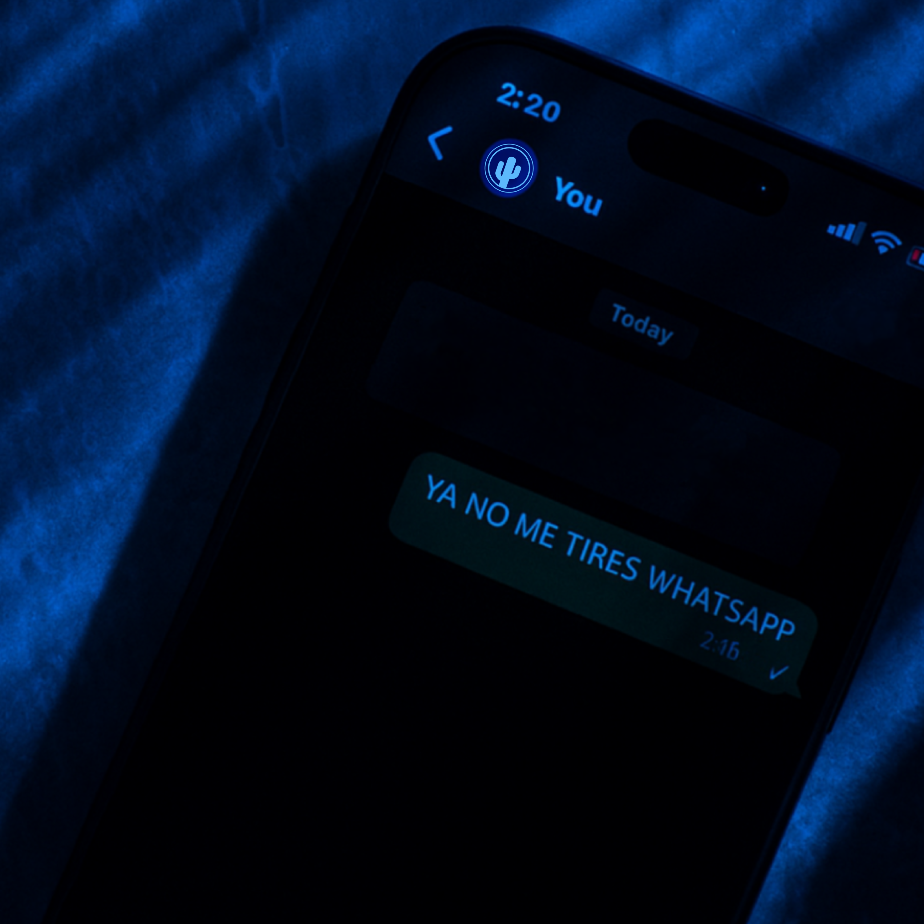 Foto del artista Eduardo Vega